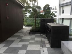 The Rise @ Oxley (D9), Condominium #565824841